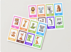 Animal flashcard.jpg