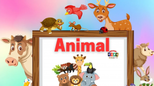 animal