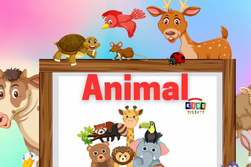 Learn Animal Names for Toddlers 50 Names