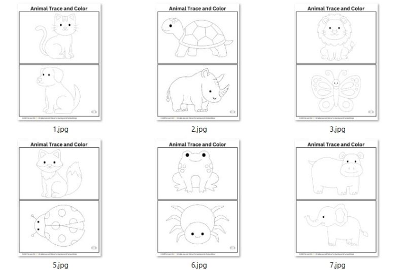 Worksheet – Trace and color animals | color book
