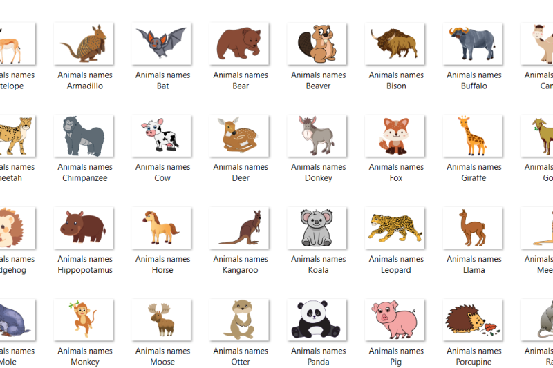 Animal Names flashcards – Fun Interactive Learning