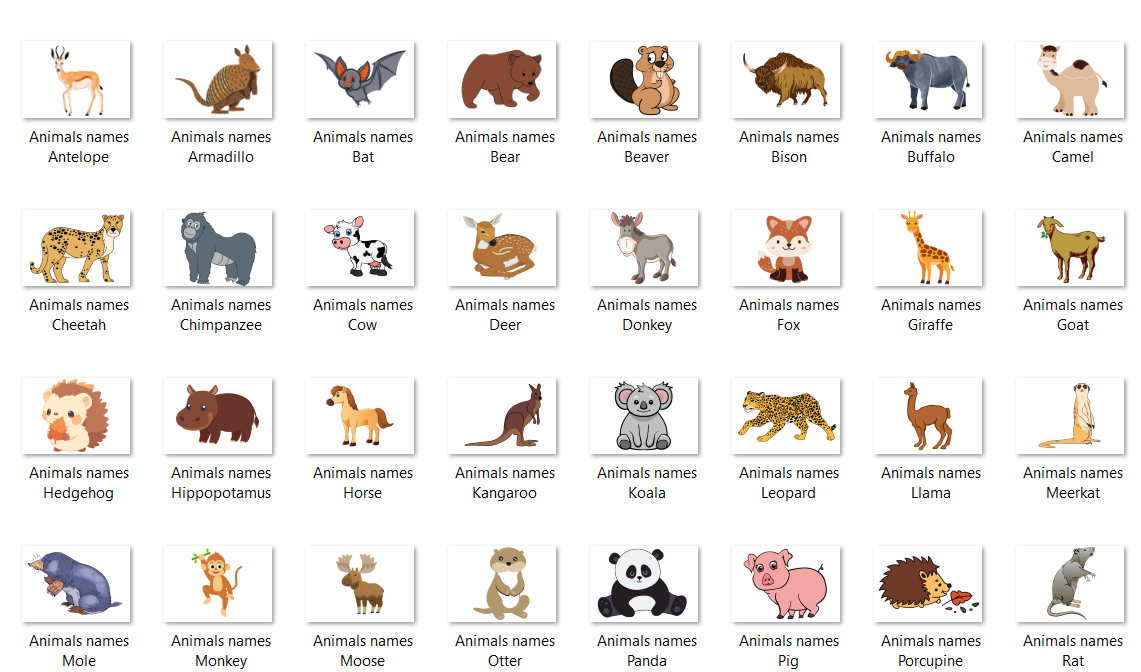 Animals names thumb
