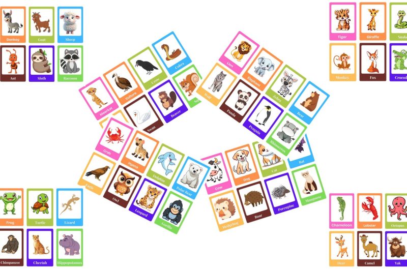 Animal flashcard