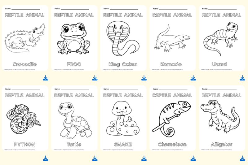 Reptiles animal color worksheet